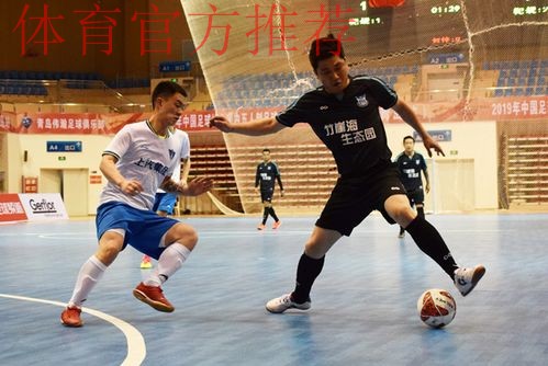 五甲联赛南二区全部比赛结束 青岛蓝翼队加冕赛区冠军 五甲联赛南二区全部比赛结束 青岛蓝翼队加冕赛区冠军